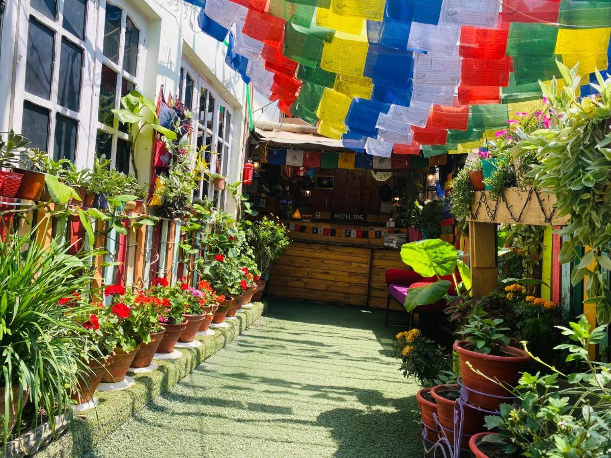 Yog Hostel Katmandu Eksteriør billede