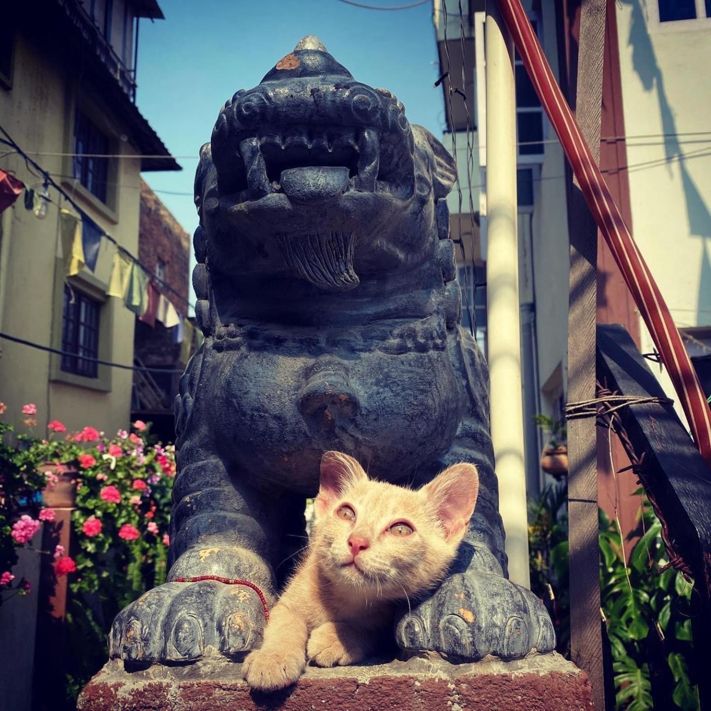 Yog Hostel Katmandu Eksteriør billede